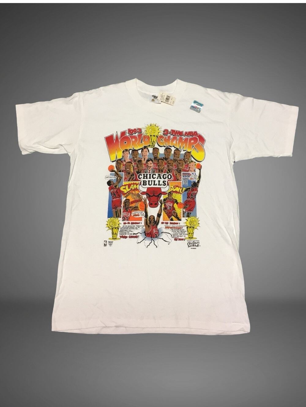 NBA Chicago Bulls Air Jordan Tennessee River Salem Tee T Shirt Size XL Vtg New